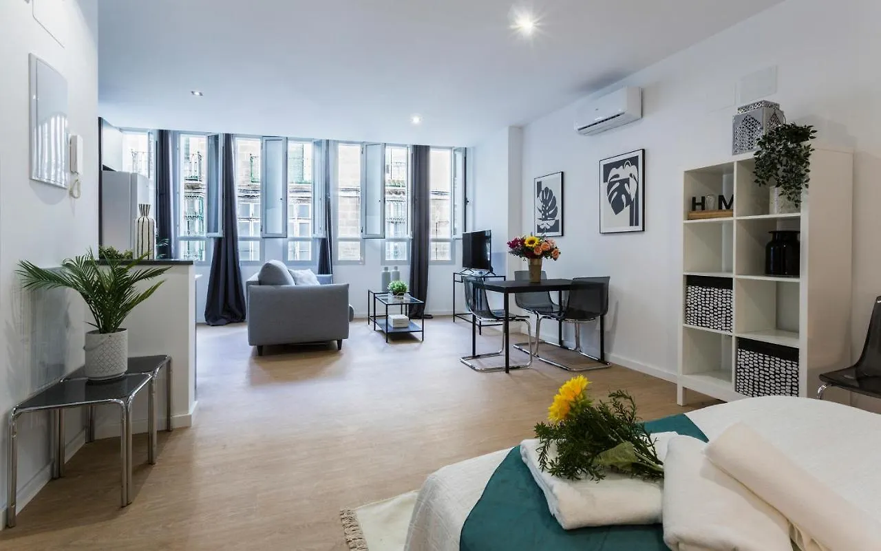Rianal Centrico Moderno Apartment Jerez de la Frontera